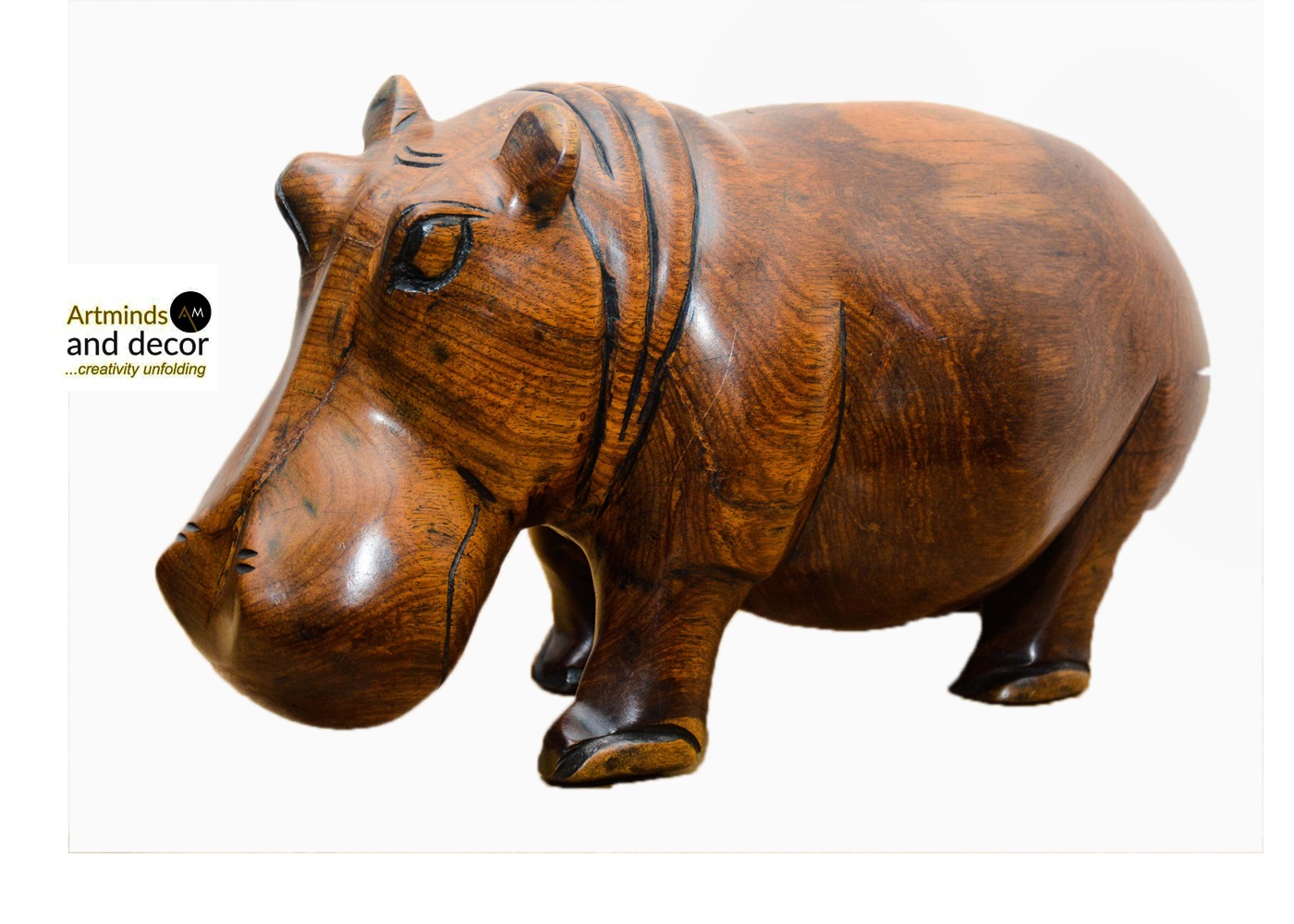 Hippopotamus