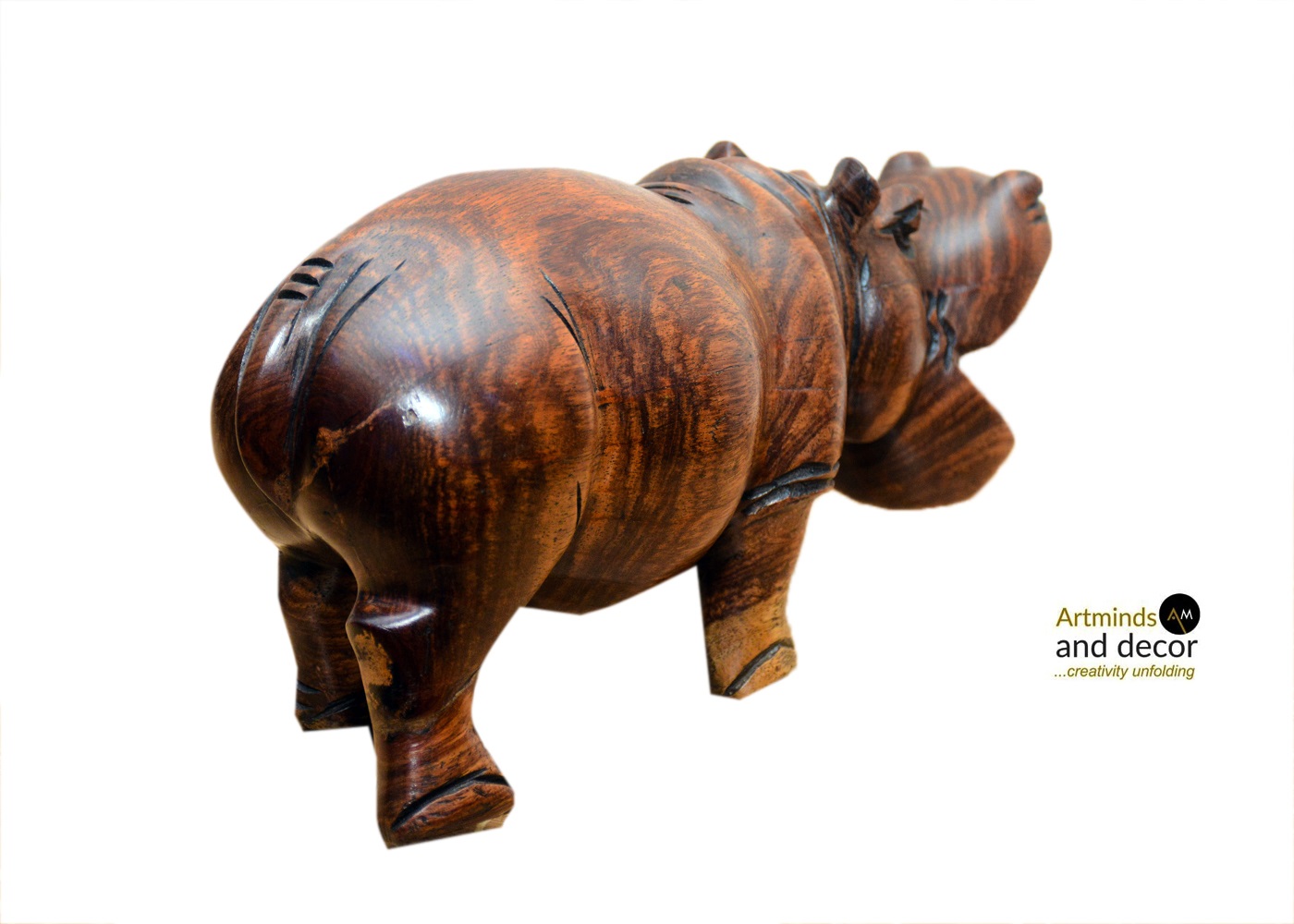 Hippopotamus