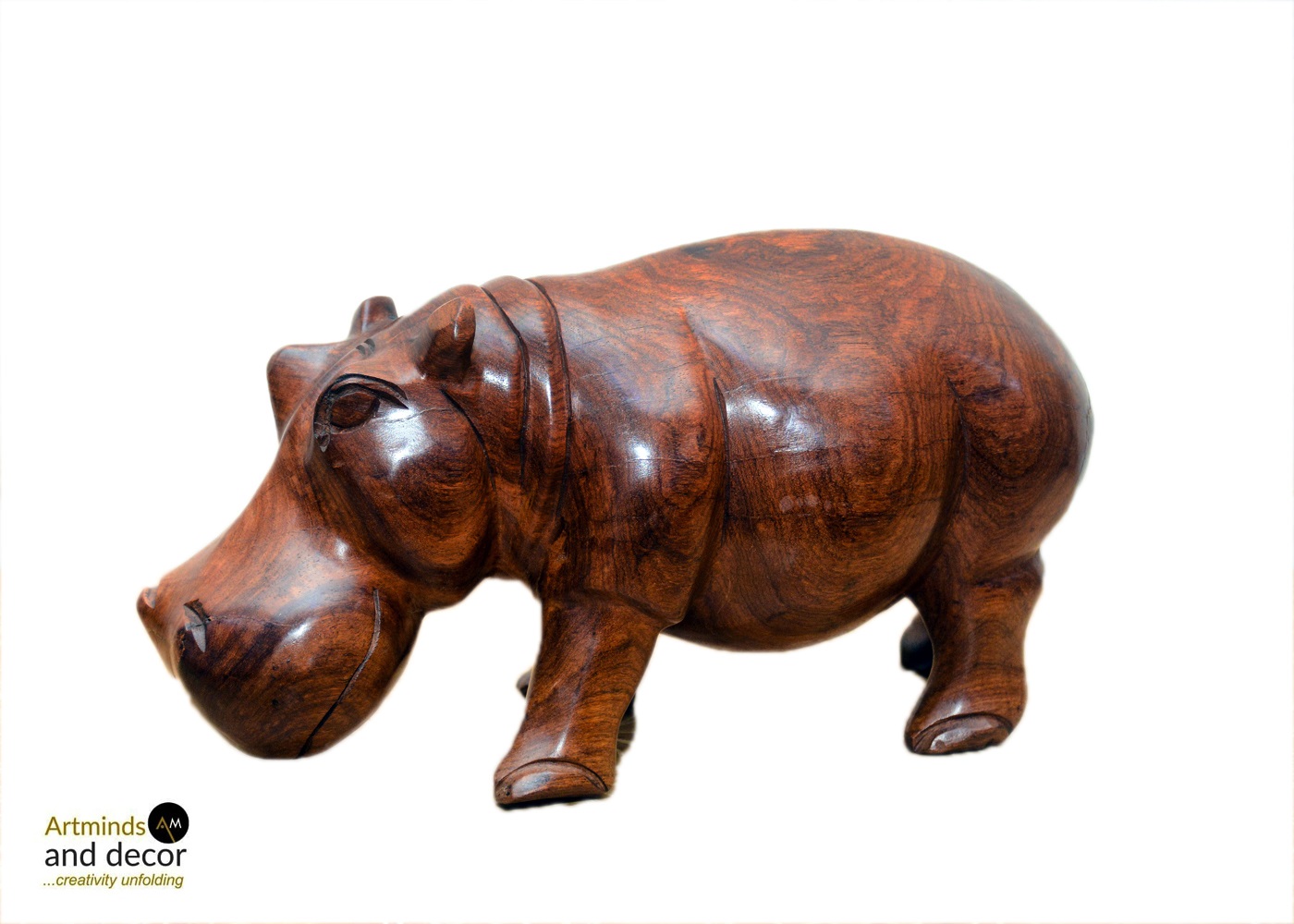 Hippopotamus